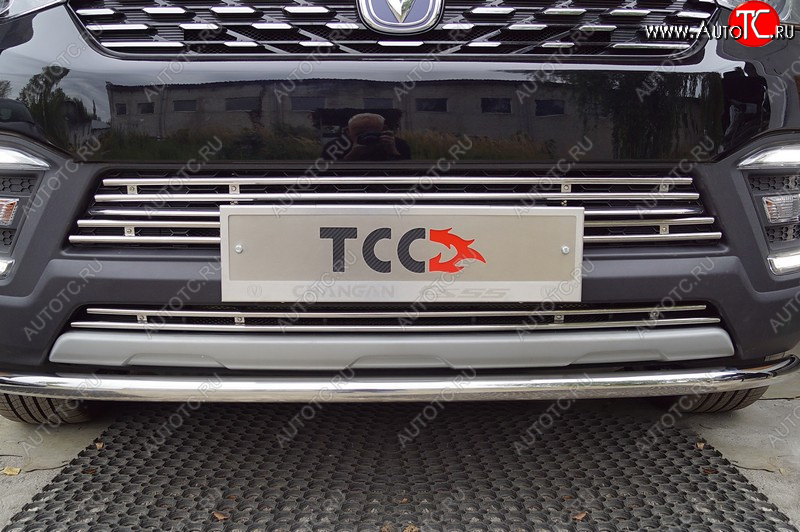3 299 р. Декоративная вставка переднего бампера (2WD 1.5T) ТСС Тюнинг  Changan CS55 (2018-2025) рестайлинг (d 12 мм)  с доставкой в г. Пермь