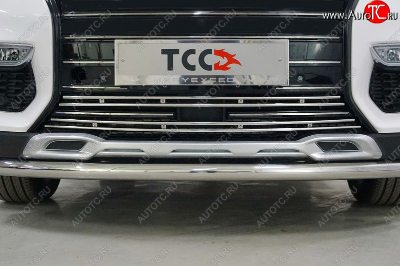 5 599 р. Нижняя декоративная вставка в бампер ТСС Тюнинг  EXEED TXL (2020-2021)  дорестайлинг (d 12 мм)  с доставкой в г. Пермь