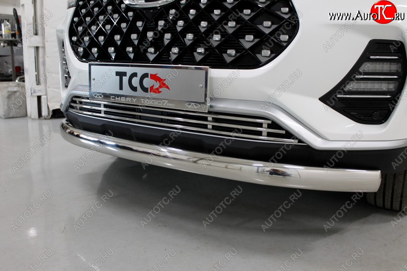 5 449 р. Декоративная вставка в бампер ТСС Тюнинг  Chery Tiggo 7 PRO (2019-2025) (d 12 мм)  с доставкой в г. Пермь