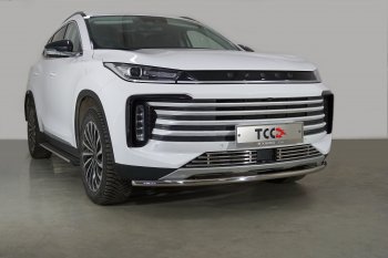 Защита переднего бампера нижняя d42,4 мм ТСС Тюнинг EXEED TXL 1-ый рестайлинг (2021-2025) (нержавейка)
