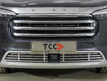 Декоративная вставка переднего бампера ТСС Тюнинг EXEED VX (2020-2023) дорестайлинг (d 12 мм)