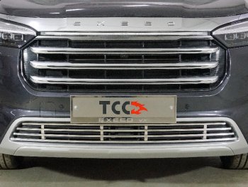 Декоративная вставка переднего бампера (без круиз-контроля) ТСС Тюнинг EXEED VX (2020-2023) дорестайлинг (d 12 мм)