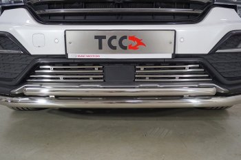 Декоративная вставка переднего бампера ТСС Тюнинг GAC GS8 (2016-2023) (d 12 мм)