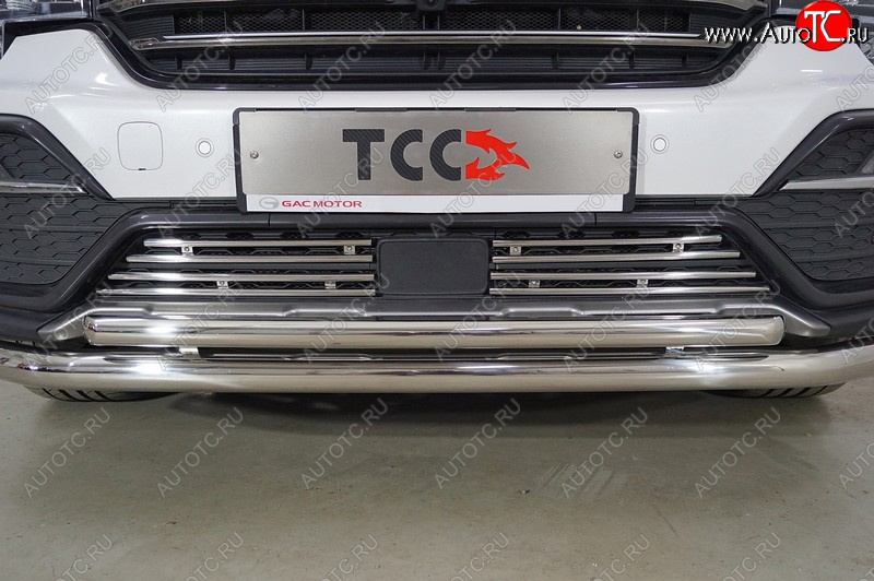 3 699 р. Декоративная вставка переднего бампера ТСС Тюнинг  GAC GS8 (2016-2023) (d 12 мм)  с доставкой в г. Пермь