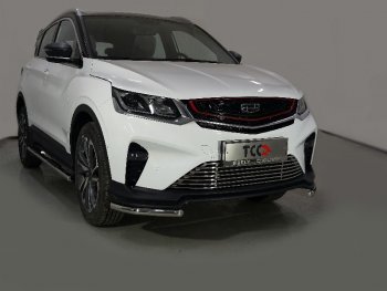 Защита переднего бампера уголки 42,4 мм ТСС тюнинг Geely Coolray  SX11 (2018-2023) дорестайлинг (нержавейка)