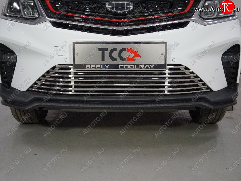 11 999 р. Декоративная вставка в бампер ТСС Тюнинг  Geely Coolray  SX11 (2018-2025) дорестайлинг, рестайлинг (d 12 мм)  с доставкой в г. Пермь