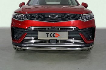 Защита переднего бампера нижняя 42,4 мм ТСС Тюнинг Geely Tugella FY11,HPBA4 дорестайлинг (2019-2023) (нержавейка)