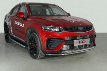 Защита переднего бампера нижняя двойная 42,4*42,4 мм ТСС Тюнинг Geely Tugella FY11,HPBA4 дорестайлинг (2019-2023) (нержавейка)