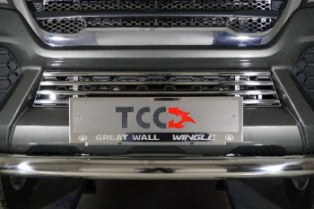 Декоративная вставка переднего бампера ТСС Тюнинг Great Wall Wingle 7 (2018-2023) пикап (d 16 мм)