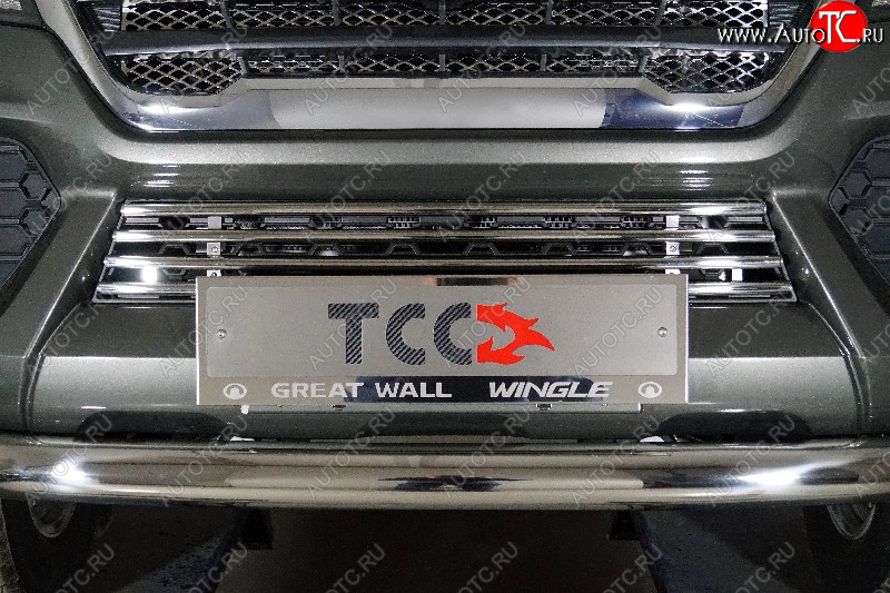 5 999 р. Декоративная вставка переднего бампера ТСС Тюнинг  Great Wall Wingle 7 (2018-2023) пикап (d 16 мм)  с доставкой в г. Пермь