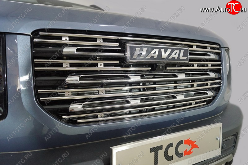 4 999 р. Декоративная вставка в решетку радиатора ТСС Тюнинг  Haval Dargo (2022-2025) (d 12 мм)  с доставкой в г. Пермь