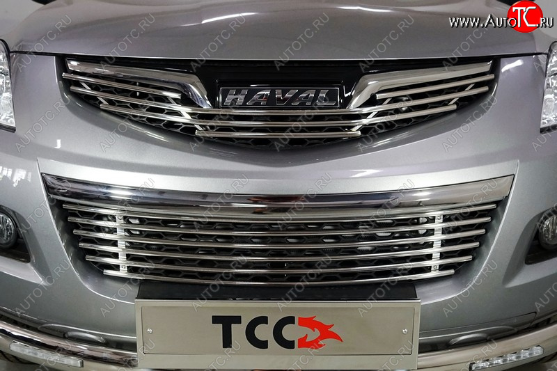 5 849 р. Нижняя декоративная вставка в бампер ТСС Тюнинг  Haval H5 (2020-2023) рестайлинг (d 12 мм)  с доставкой в г. Пермь