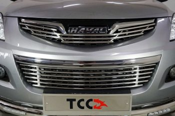Верхняя декоративная вставка решетки радиатора ТСС Тюнинг Haval H5 рестайлинг (2020-2023) (d 12 мм)