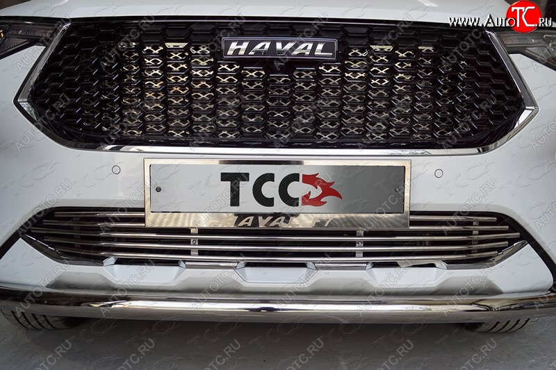 7 349 р. Нижняя декоративная вставка в бампер ТСС Тюнинг  Haval F7 (2018-2022)  дорестайлинг (d 12 мм)  с доставкой в г. Пермь