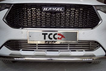 Защита передняя нижняя короткая с ДХО 60,3 мм ТСС Тюнинг Haval F7  дорестайлинг (2018-2022) (нержавейка)