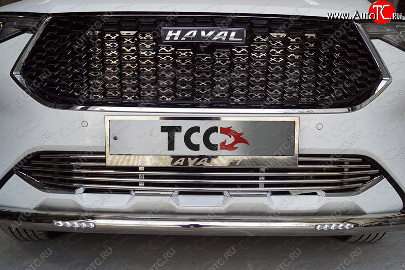 35 999 р. Защита передняя нижняя короткая с ДХО 60,3 мм ТСС Тюнинг Haval F7  дорестайлинг (2018-2022) (нержавейка)  с доставкой в г. Пермь