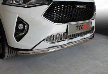 Защита передняя нижняя длинная 60,3 мм ТСС Тюнинг Haval F7  дорестайлинг (2018-2022) (нержавейка)
