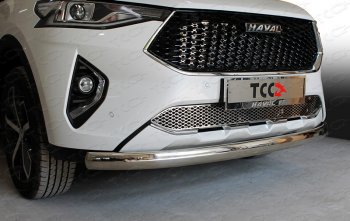 Защита переднего бампера нижняя овальная 75х42 мм ТСС Тюнинг Haval F7  дорестайлинг (2018-2022) (нержавейка)