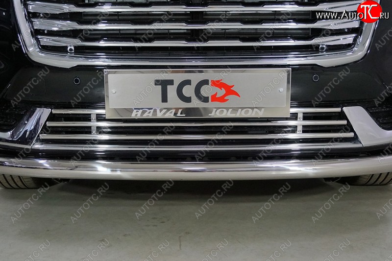 4 549 р. Нижняя декоративная вставка в бампер ТСС Тюнинг  Haval Jolion (2020-2024) дорестайлинг (d 16 мм )  с доставкой в г. Пермь