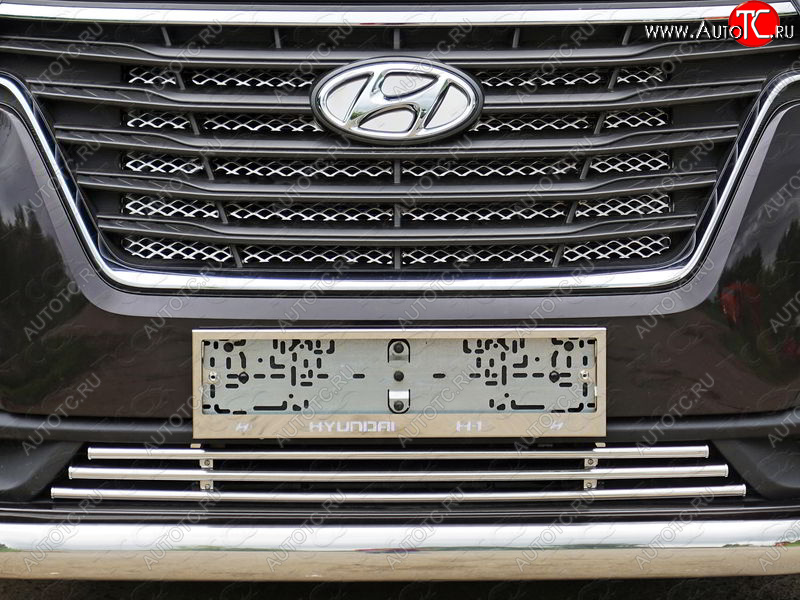 7 349 р. Декоративная вставка переднего бампера ТСС Тюнинг  Hyundai Starex/Grand Starex/H1  TQ (2017-2022) 2-ой рестайлинг (d 16 мм)  с доставкой в г. Пермь