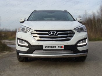 Декоративная вставка переднего бампера ТСС Тюнинг Hyundai Santa Fe DM дорестайлинг (2012-2016) (d 16 мм)