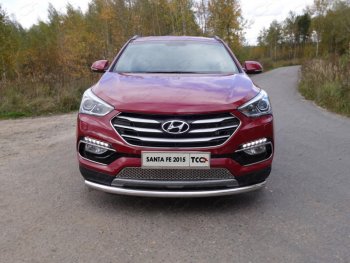 Защита переднего бампера нижняя d60,3 мм ТСС Тюнинг Hyundai Santa Fe  DM (2015-2019) рестайлинг
