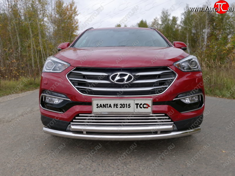 8 799 р. Декоративная вставка переднего бампера (Premium) ТСС Тюнинг  Hyundai Santa Fe  DM (2015-2019) рестайлинг (d 16 мм)  с доставкой в г. Пермь
