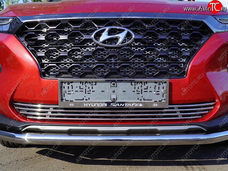 7 349 р. Нижняя декоративная вставка в бампер ТСС Тюнинг  Hyundai Santa Fe  TM (2018-2021) дорестайлинг  с доставкой в г. Пермь