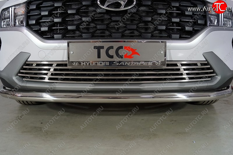 8 699 р. Нижняя декоративная вставка в бампер ТСС Тюнинг  Hyundai Santa Fe  TM (2020-2022) рестайлинг (d 12 мм)  с доставкой в г. Пермь