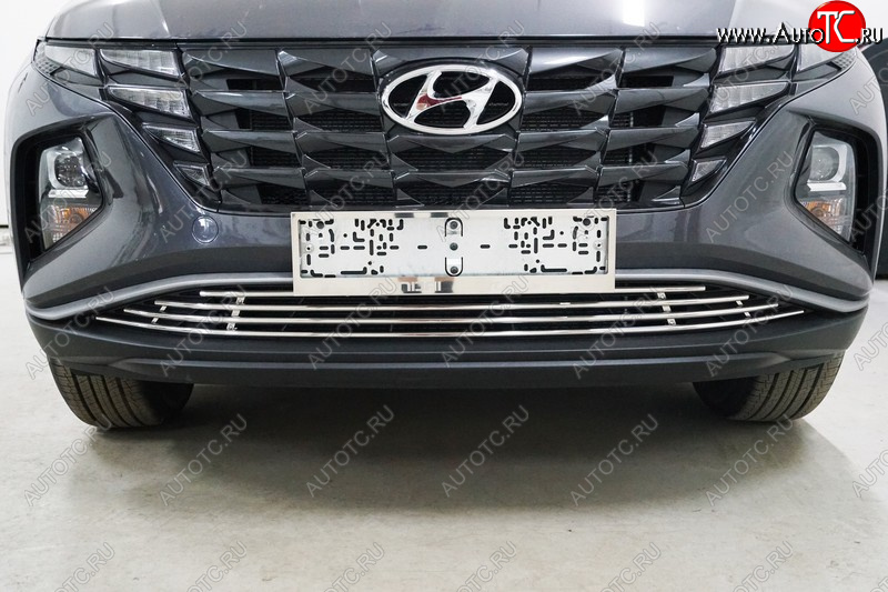 9 349 р. Нижняя декоративная вставка в бампер ТСС Тюнинг  Hyundai Tucson  NX4 (2020-2022) (d 12 мм)  с доставкой в г. Пермь