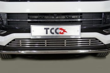 Декоративная вставка переднего бампера ТСС Тюнинг JAC JS4 (2021-2025) (d 12 мм)