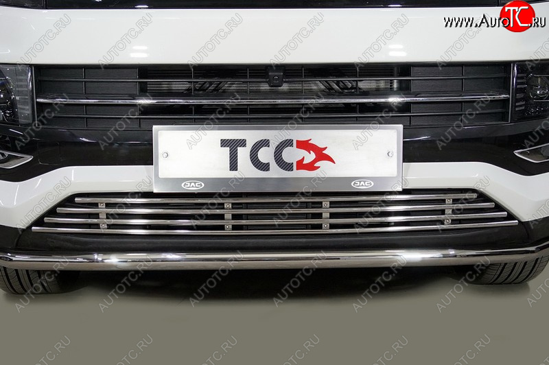 6 549 р. Декоративная вставка переднего бампера ТСС Тюнинг  JAC JS4 (2021-2025) (d 12 мм)  с доставкой в г. Пермь