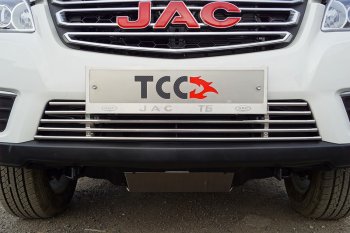 Декоративная вставка переднего бампера ТСС Тюнинг JAC T6 (2018-2024) пикап (d 12 мм)