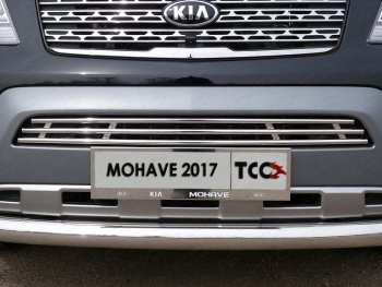 Декоративная вставка переднего бампера ТСС Тюнинг KIA Mohave  HM (2017-2020) рестайлинг (d 16 мм)