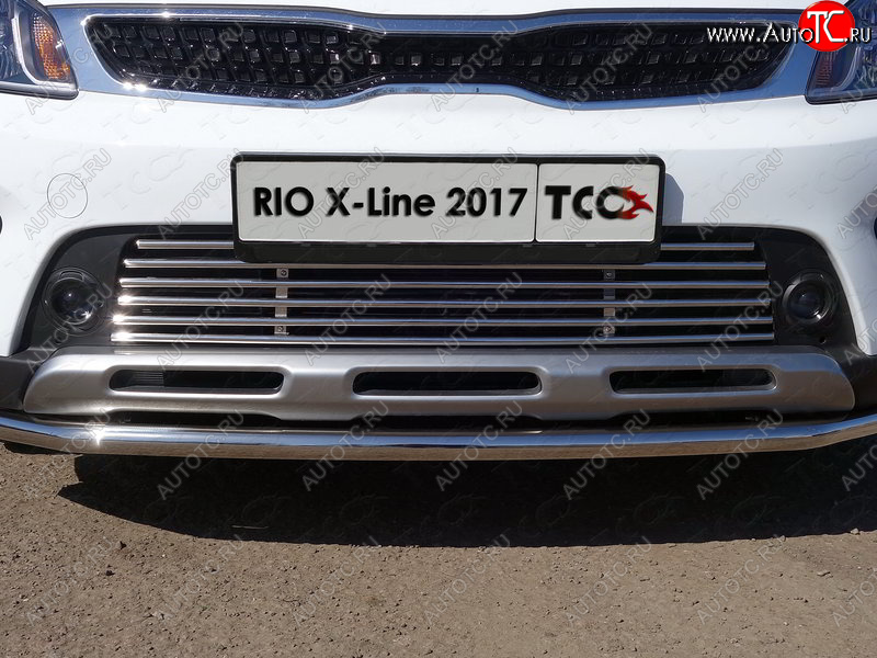 8 799 р. Нижняя декоративная вставка в бампер ТСС Тюнинг  KIA Rio  X-line (2017-2021) (d 12 мм)  с доставкой в г. Пермь