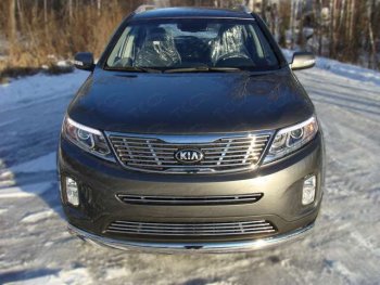 Средняя декоративная вставка в бампер ТСС Тюнинг KIA Sorento  XM (2012-2015) рестайлинг (d 12 мм)