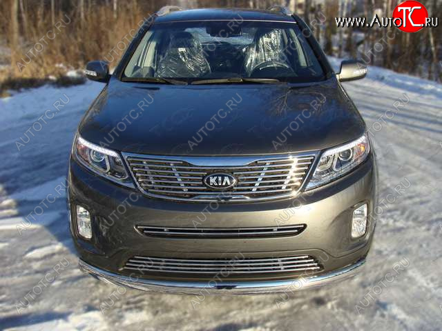 2 899 р. Средняя декоративная вставка в бампер ТСС Тюнинг  KIA Sorento  XM (2012-2015) рестайлинг (d 12 мм)  с доставкой в г. Пермь