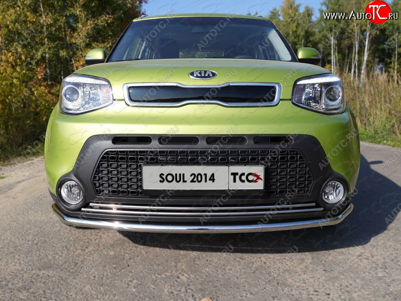 2 199 р. Нижняя декоративная вставка в бампер ТСС Тюнинг  KIA Soul  PS (2014-2016) дорестайлинг (d 16 мм)  с доставкой в г. Пермь