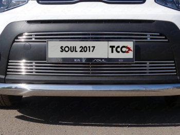 Декоративная вставка переднего бампера ТСС Тюнинг KIA Soul  PS (2017-2019) рестайлинг (d 12 мм)