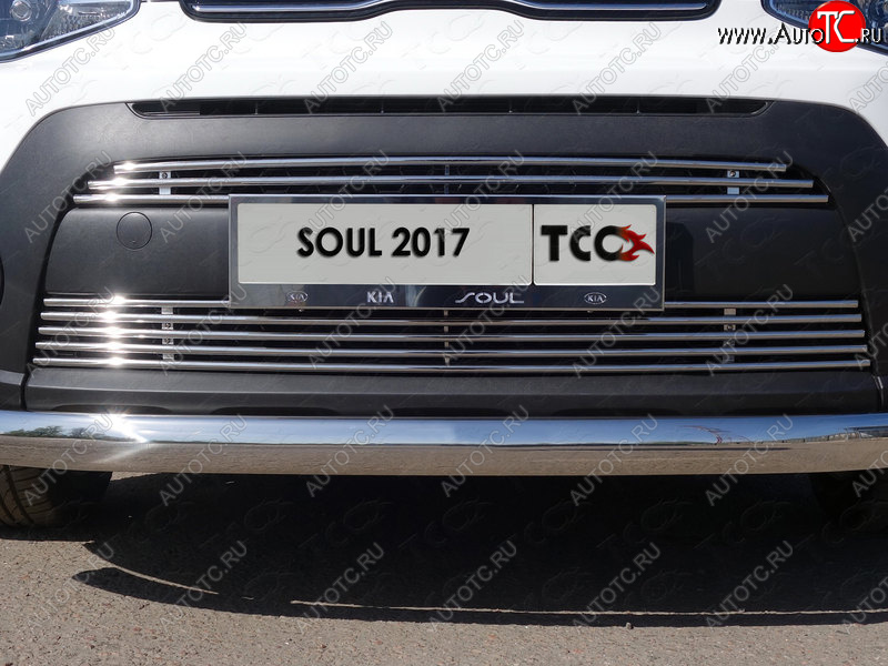7 349 р. Нижняя декоративная вставка в бампер ТСС Тюнинг  KIA Soul  PS (2017-2019) рестайлинг (d 12 мм)  с доставкой в г. Пермь