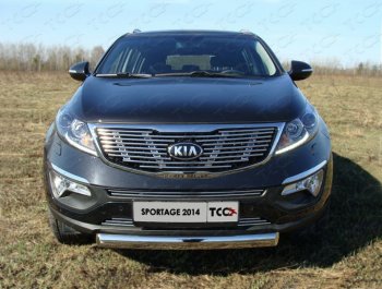Средняя декоративная вставка в бампер ТСС Тюнинг KIA Sportage  3 SL (2014-2016) рестайлинг (d 12 мм)