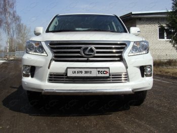 Защита переднего бампера нижняя овальная короткая 75*42 мм (кроме F-Sport) ТСС Тюнинг Lexus LX570  J200 (2012-2015) 1-ый рестайлинг (нержавейка)