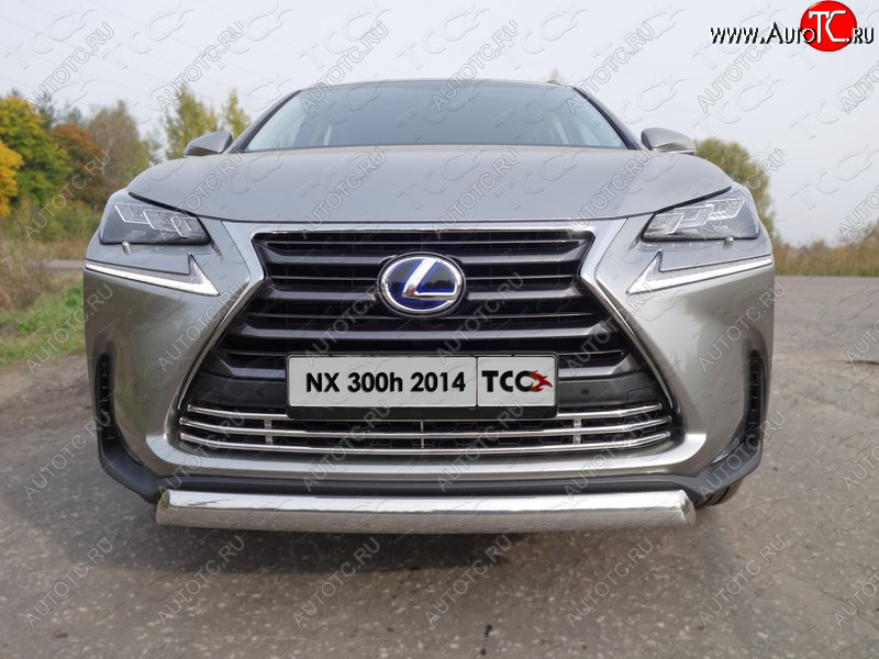 8 799 р. Декоративная вставка переднего бампера (кроме F-Sport) ТСС Тюнинг Lexus NX300h Z10 дорестайлинг (2014-2017) (d 16 мм)  с доставкой в г. Пермь