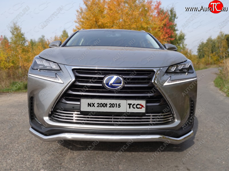 7 349 р. Декоративная вставка переднего бампера (кроме F-Sport) ТСС Тюнинг  Lexus NX200T  Z10 (2014-2017) (d 12 мм)  с доставкой в г. Пермь