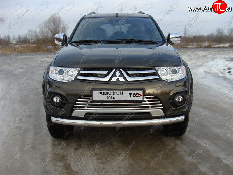 8 799 р. Декоративная вставка переднего бампера ТСС Тюнинг  Mitsubishi Pajero Sport  PB (2013-2017) рестайлинг (d 16 мм)  с доставкой в г. Пермь