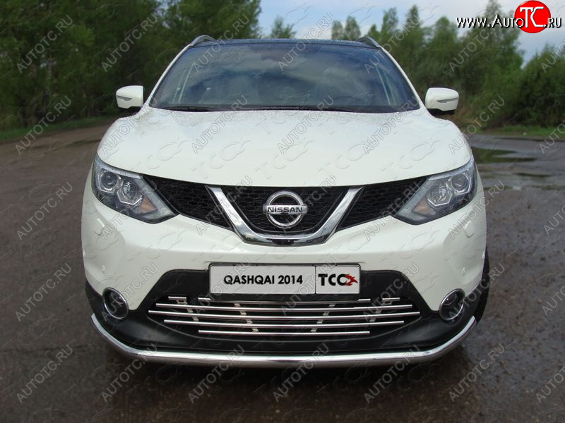 8 799 р. Декоративная вставка переднего бампера ТСС Тюнинг  Nissan Qashqai  2 (2013-2019) J11 дорестайлинг (d 16 мм)  с доставкой в г. Пермь