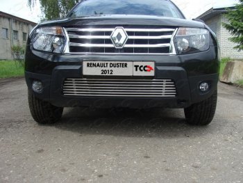 Декоративная вставка переднего бампера ТСС Тюнинг Renault Duster HS дорестайлинг (2010-2015) (d 12 мм)
