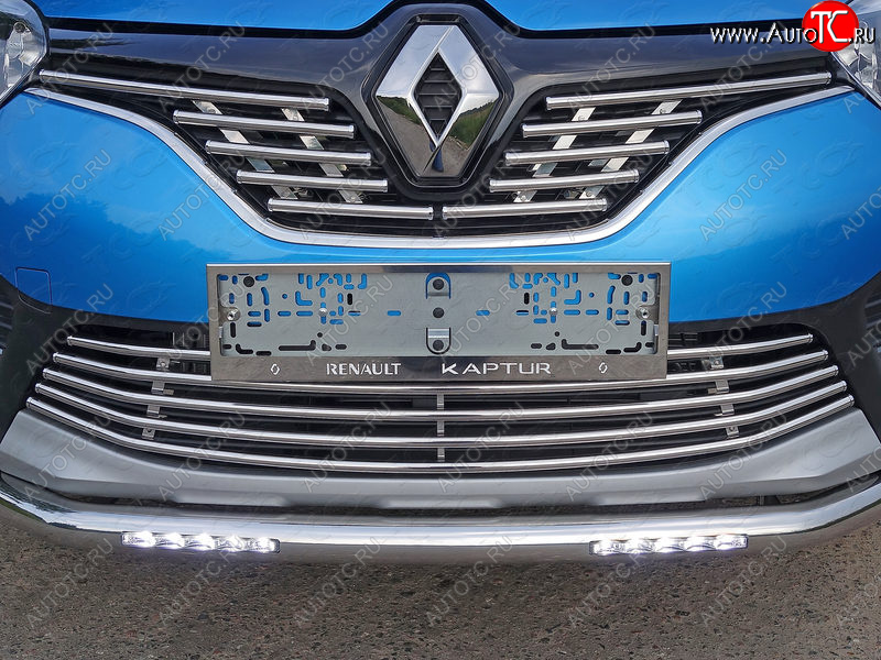 8 799 р. Нижняя декоративная вставка в бампер ТСС Тюнинг  Renault Kaptur (2016-2020) дорестайлинг (d 16 мм)  с доставкой в г. Пермь