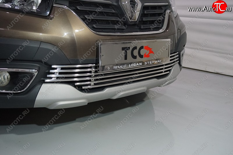 6 549 р. Нижняя декоративная вставка в бампер ТСС Тюнинг  Renault Logan Stepway (2018-2025) (d 12 мм)  с доставкой в г. Пермь