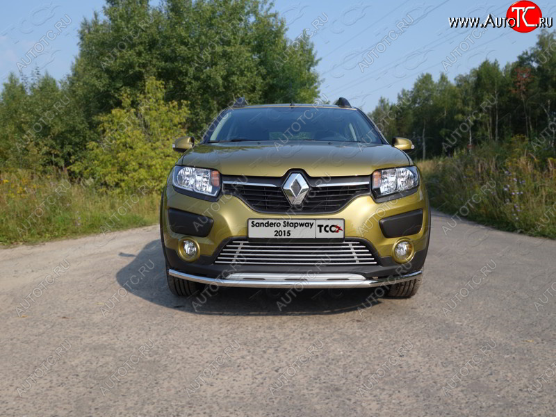 7 349 р. Нижняя декоративная вставка в бампер ТСС Тюнинг  Renault Sandero Stepway  (B8) (2014-2018) дорестайлинг (d 12 мм)  с доставкой в г. Пермь